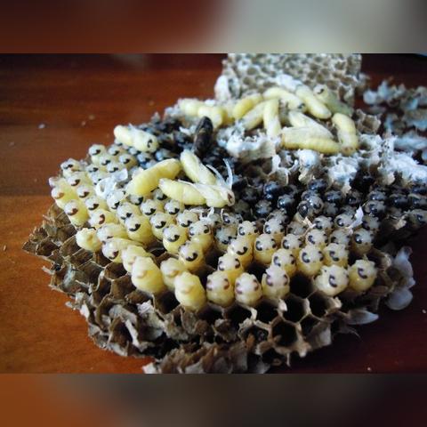 苏州市乐跑公司怎么样