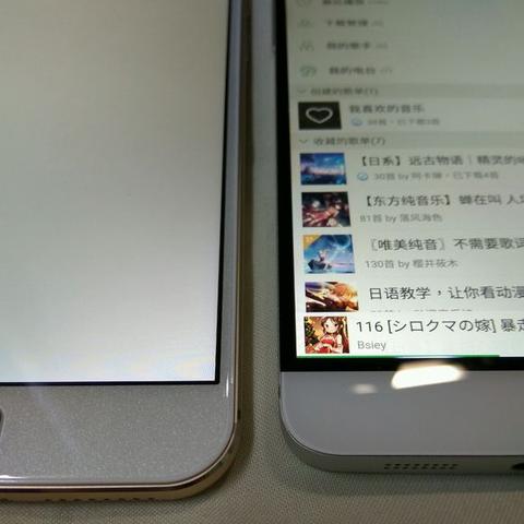 哈尔滨比乐街小姐相关长尾关键词有哪些