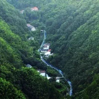 哈尔滨竹林酒店位置相关长尾关键词有哪些