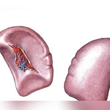 济南中医赵学谦相关长尾关键词有哪些