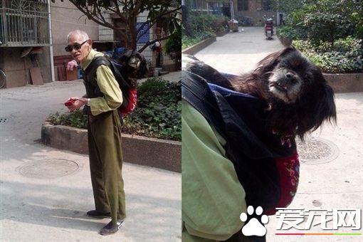 梦回往昔，昨天晚上梦到死去的爷爷，探寻潜意识的温暖呼唤