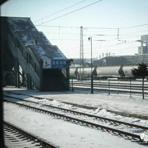 哈尔滨粮食发放相关长尾关键词有哪些