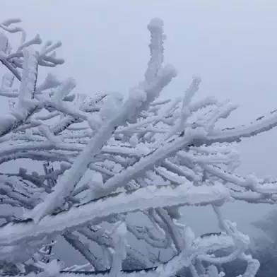杭州市哪个区下雪了啊