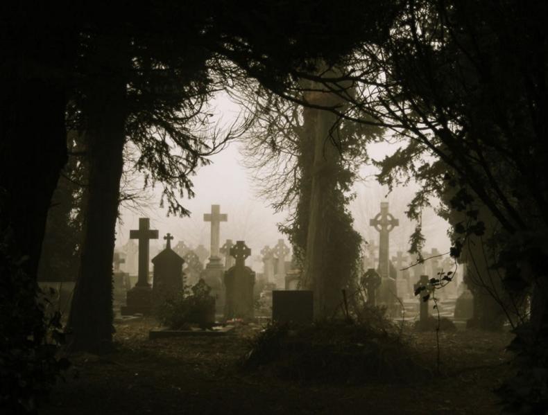 梦见死去的亲人哭,梦境背后的情感与灵魂交流 梦见死去的亲人哭,梦境背后的情感与灵魂交流