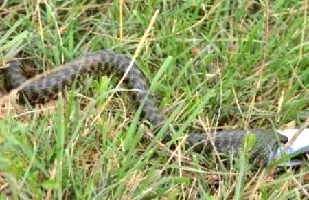 卖什么赚30万 做什么赚30万