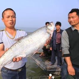 无锡市哪里翘嘴多一点