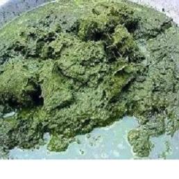 成都市全鸡火锅的长尾关键词有什么