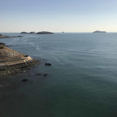 大连市今天天气怎么样