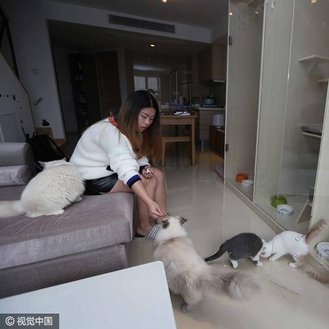 周口市精装loft的长尾关键词有哪些