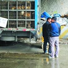 广东佛山市屠宰场的长尾关键词有哪些