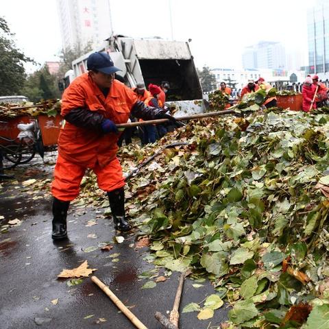 2025.12.16石家庄今日气温变化情况