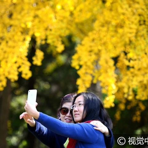 长沙龙浓视觉相关长尾关键词有哪些