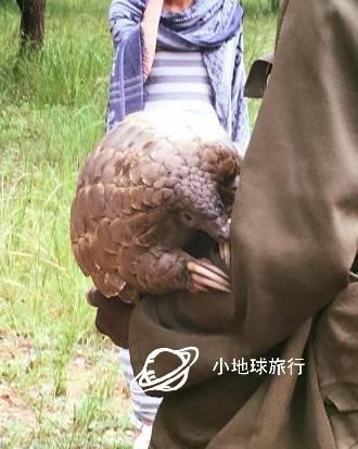 梦境的隐喻,解析梦中喂奶非亲生,实则情感投射的深意 梦境的隐喻,解析梦中喂奶非亲生,实则情感投射的深意