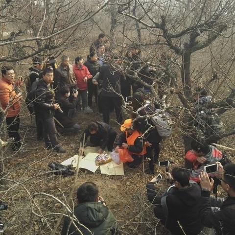 聂树斌是河北省石家庄市鹿泉区人的长尾关键词有什么