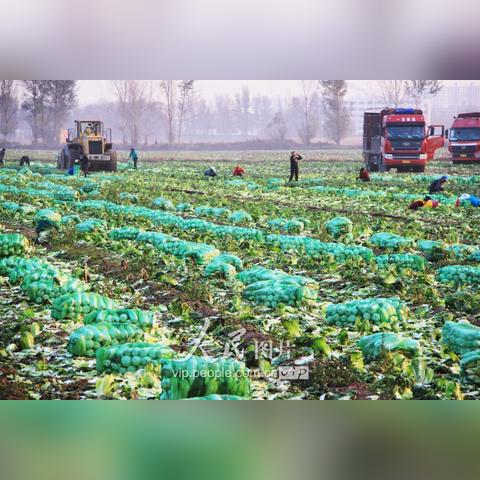 【河南今日黄金价格】2025年4月19日河南黄金价格是多少