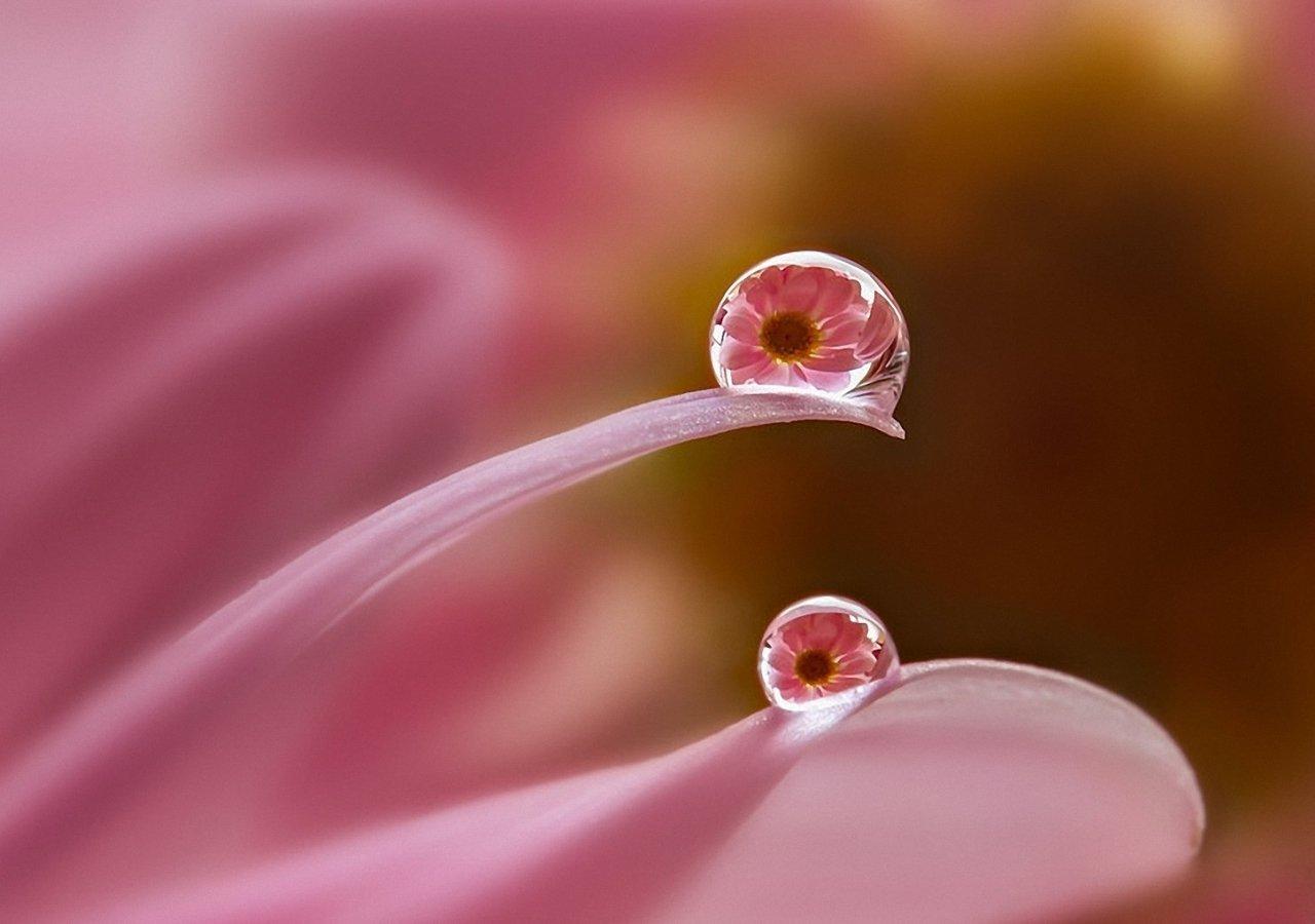 梦境中的情感纠葛，前男友的追寻与内心的逃避