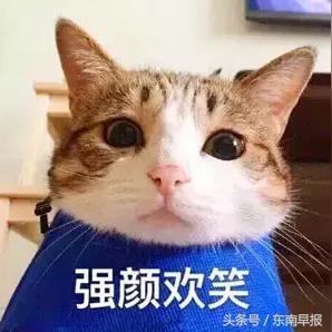 泉州最冷穿什么衣服