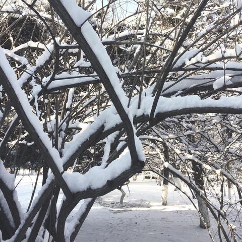 沈阳中山公园坐几路公交车到？