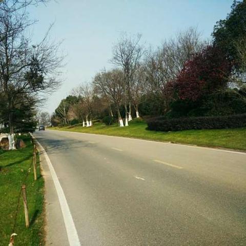 武汉市汤逊湖属于什么区