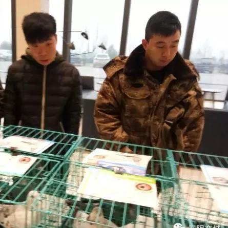 石家庄市哪里回收钻石的的长尾关键词有哪些