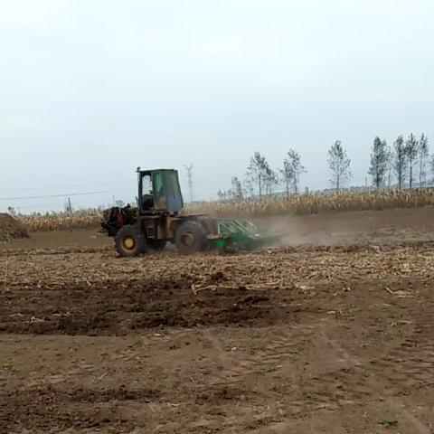 菏泽市大华旋耕机多少钱