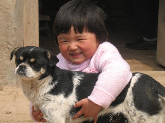 孕妇梦到狗，寓意与解析