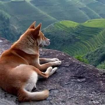 赣州市育苗怎么预约的