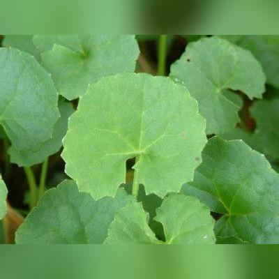 痔疮手术大概需要多少费用？