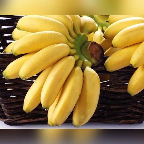 南宁今天香蕉批发价格的相关长尾关键词有哪些