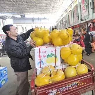武汉市张家湾属哪个区管