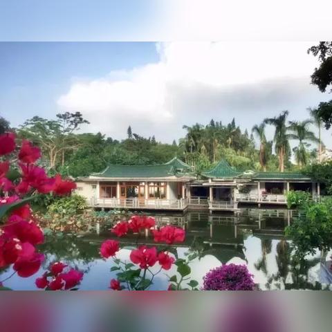 厦门市植物园有什么好玩