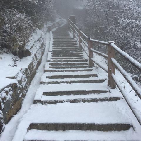 2025.12.23成都最新天气预报查询