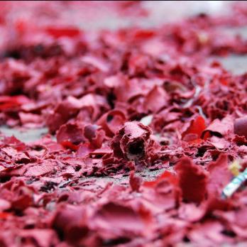 2025.12.1杭州今天空气质量指数怎么样