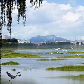 苏州市常熟市福山镇的长尾关键词有什么