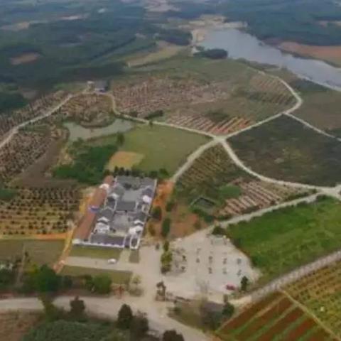 南宁市江西镇属于哪个市