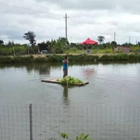 南宁的农家乐的相关长尾关键词有哪些