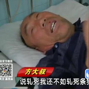 济南市里能养哪些狗类