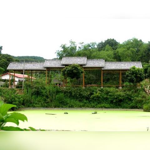 南宁邕江哪段风景比较好？