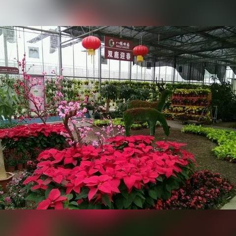 南宁市八桂田园怎么去