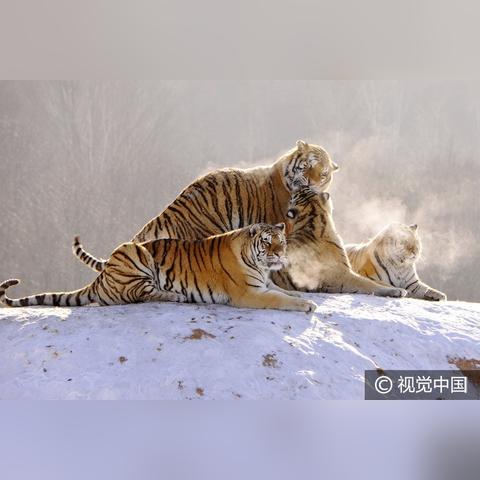 从牡丹江到沈阳相关长尾关键词有哪些