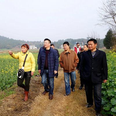 绵阳三台塔山天气预报的长尾关键词有什么