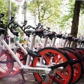 佛山市知识付费公司有哪些