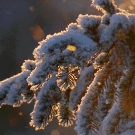 2025.11.15宁波今日气温变化情况