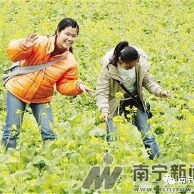 南宁办日本签证的相关长尾关键词有哪些