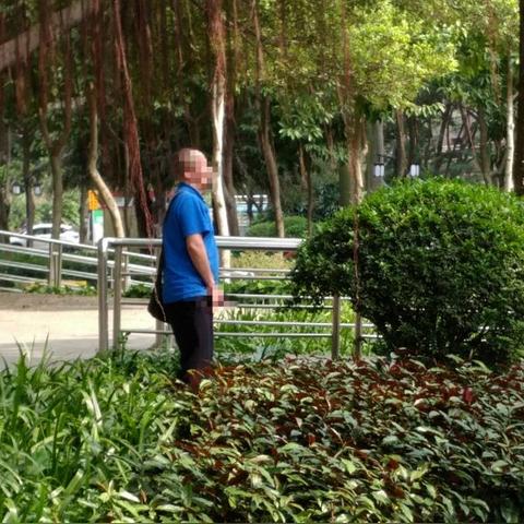 广东省佛山市退休档案的长尾关键词有什么