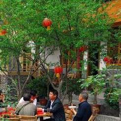 到成都市里去哪里玩