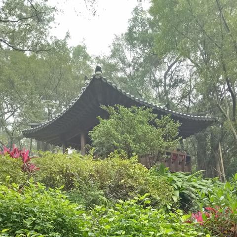 广州老式早茶越秀相关长尾关键词有哪些