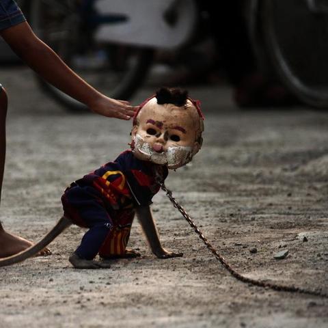 广州规划东相关长尾关键词有哪些