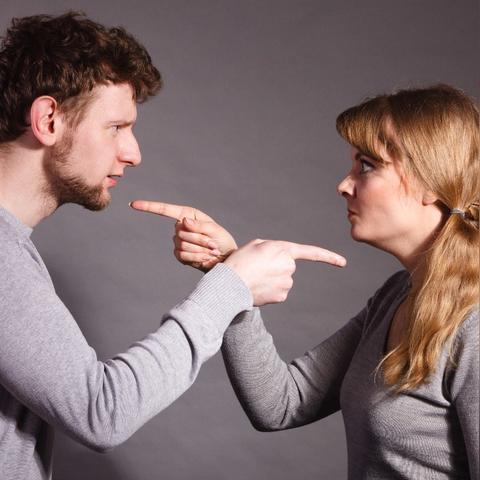 鸡年十二生肖女感情运势(鸡年十二生肖女感情运势图)