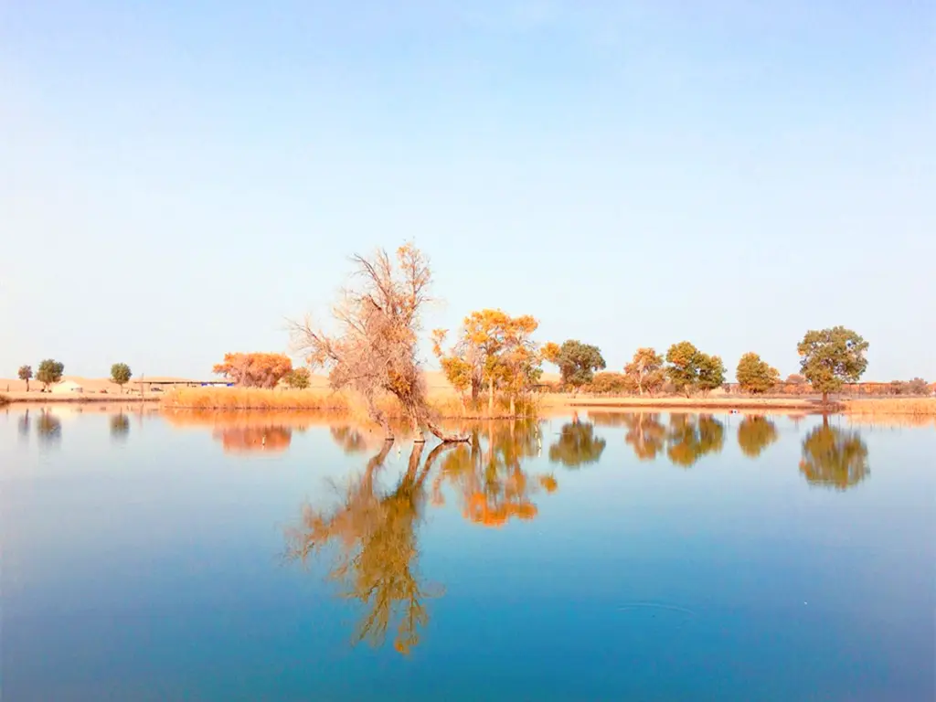 开猪场赚钱吗 快手阳光养猪场是真的吗